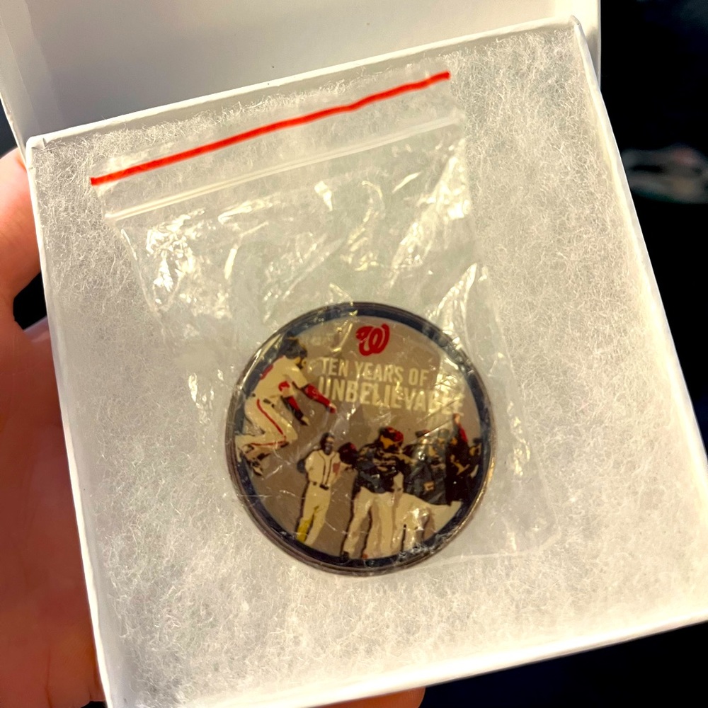 Washington Nationals 10 year pin - NEW